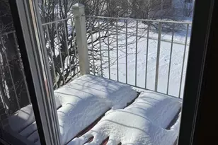 46 Buttonwood St, Mount Holly, NJ 08060 - Photo 11