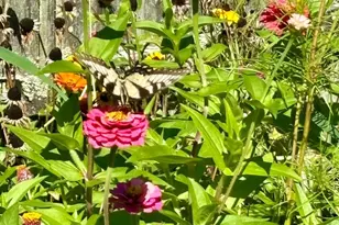 5 Tara Dr, Mount Laurel, NJ 08054 - Photo 79