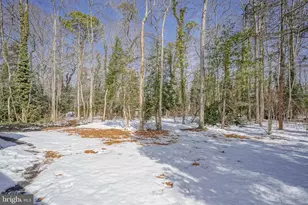 343 Tavistock Dr, Medford, NJ 08055 - Photo 39