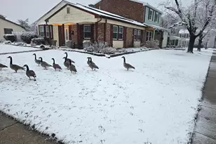 1 Felter Pl, Willingboro, NJ 08046 - Photo 1