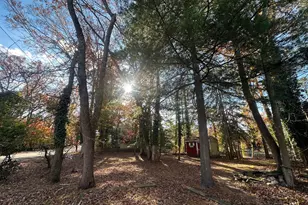 227 E Lake Blvd, Medford, NJ 08055 - Photo 37