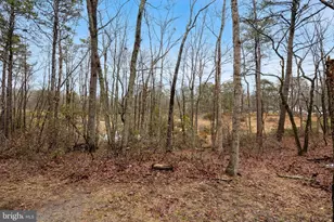 42 Mockingbird Way, Medford, NJ 08055 - Photo 35