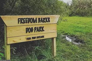 164 Eaves Mill Rd, Medford, NJ 08055 - Photo 27