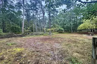 338 Ridge Rd, Browns Mills, NJ 08015 - Photo 31