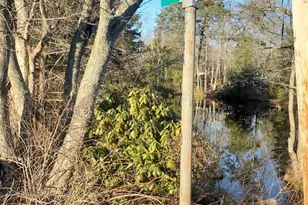 12 Sage St, Browns Mills, NJ 08015 - Photo 19