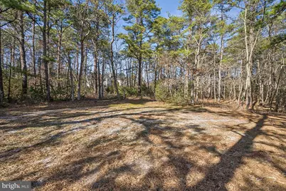 11 Cliff Swallow Drive, Medford, NJ 08055 - Photo 79