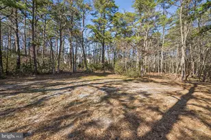 11 Cliff Swallow Dr, Medford, NJ 08055 - Photo 79