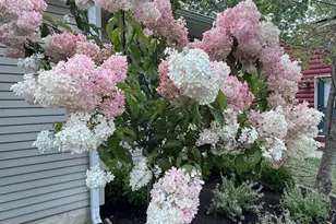 80 Manhasset Trail, Medford Lakes, NJ 08055 - Photo 5