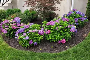 79 Westmont Dr, Medford, NJ 08055 - Photo 5