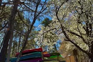 2 Teaberry Dr, Medford, NJ 08055 - Photo 69