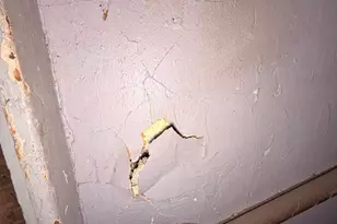 507 Lawrence St, Burlington, NJ 08016 - Photo 37