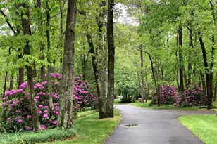 65 Bortons Rd, Marlton, NJ 08053 - Photo 61