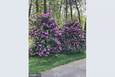 65 Bortons Road, Marlton, NJ 08053 - Photo 57