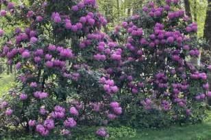 65 Bortons Rd, Marlton, NJ 08053 - Photo 57