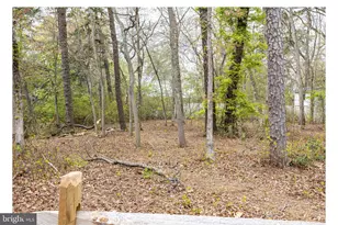 20 Columbine Ave, Browns Mills, NJ 08015 - Photo 13