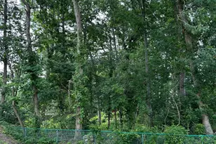 21 Bobwhite Blvd, Browns Mills, NJ 08015 - Photo 3
