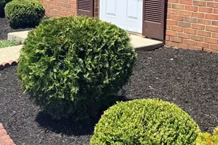 131 Toledo Ln, Willingboro, NJ 08046 - Photo 13