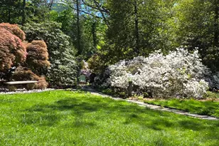 443 High St, Mount Holly, NJ 08060 - Photo 29