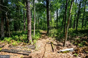 42 W Lake Rd, Medford, NJ 08055 - Photo 31