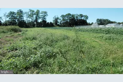 1635 Burl Jacksonville, Burlington, NJ 08016 - Photo 3