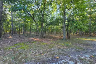 2 Red Onion Ct, Tabernacle, NJ 08088 - Photo 1