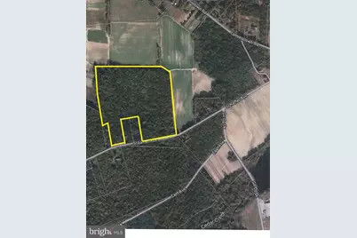 L19 Schafer Avenue, Cedarville, NJ 08311 - Photo 1