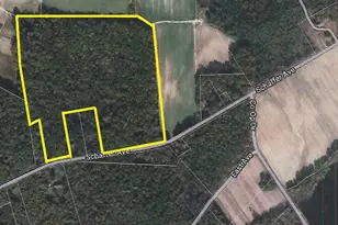 L19 Schafer Ave, Cedarville, NJ 08311 - Photo 1