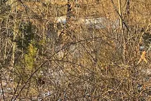 520 East Ave, Millville, NJ 08332 - Photo 3