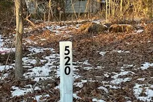 520 East Ave, Millville, NJ 08332 - Photo 1