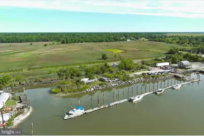 7021 Miller Avenue, Port Norris, NJ 08349 - Photo 31