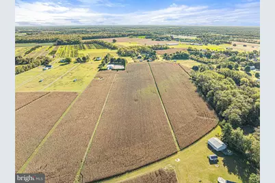 166 Woodruff Road, Bridgeton, NJ 08302 - Photo 9