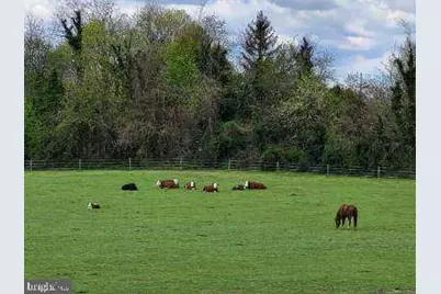 81 Old Deerfield Pike, Bridgeton, NJ 08302 - Photo 13