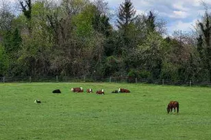 81 Old Deerfield Pike, Bridgeton, NJ 08302 - Photo 13