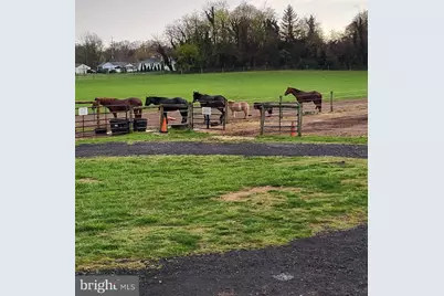 81 Old Deerfield Pike, Bridgeton, NJ 08302 - Photo 11