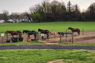 81 Old Deerfield Pike, Bridgeton, NJ 08302 - Photo 11