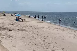 205 Pennsylvania, Fortescue, NJ 08321 - Photo 17