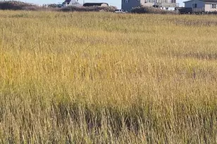 167 Cove Rd, Newport, NJ 08345 - Photo 37