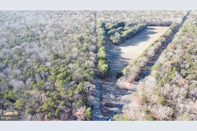 Route 347 and Carlisle Place Road, Dorchester, NJ 08316 - Photo 7