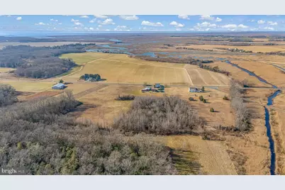 321 Jones Island Road, Cedarville, NJ 08311 - Photo 39