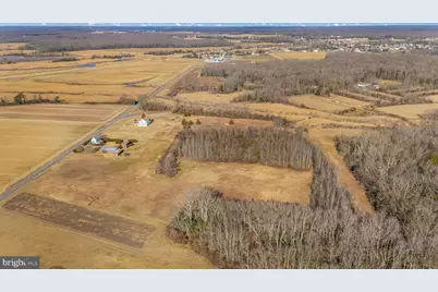 321 Jones Island Road, Cedarville, NJ 08311 - Photo 35