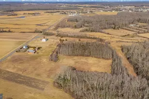 321 Jones Island Rd, Cedarville, NJ 08311 - Photo 35