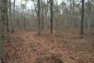 2671 E Sherman Ave, Vineland, NJ 08361 - Photo 51