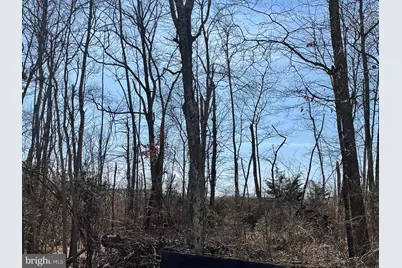 4578 Route 47, Maurice River Township, NJ 08314 - Photo 3