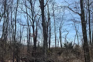 4578 Route 47, Delmont, NJ 08314 - Photo 3