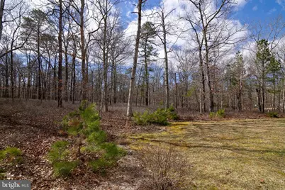 55 Taylor Avenue, Milmay, NJ 08340 - Photo 51