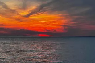 98 Delaware Ave, Fortescue, NJ 08321 - Photo 51