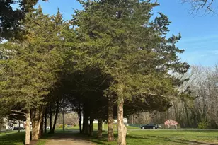 548 N Lincoln Ave, Vineland, NJ 08360 - Photo 7