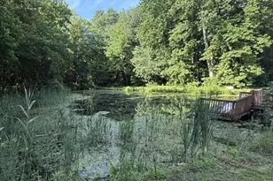 358 Buckhorn Rd, Bridgeton, NJ 08302 - Photo 9
