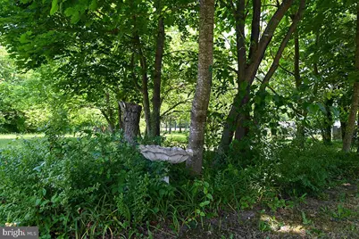 8 Ward Avenue, Leesburg, NJ 08327 - Photo 7