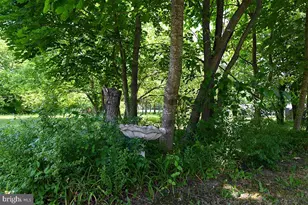 8 Ward Ave, Leesburg, NJ 08327 - Photo 7